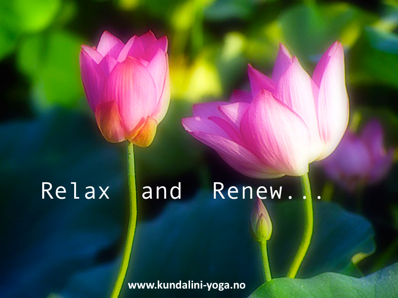 Relax and renew yoga oslo